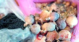 点击浏览下一页