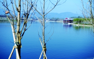 点击浏览下一页