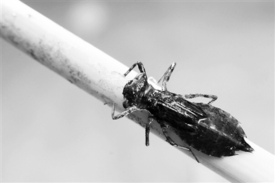 点击浏览下一页