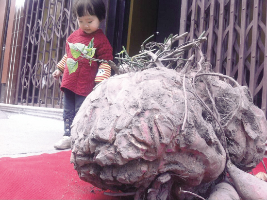 点击浏览下一页