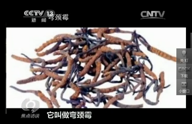 点击浏览下一页