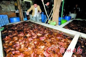 点击浏览下一页