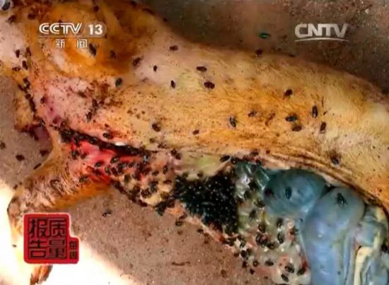 点击浏览下一页