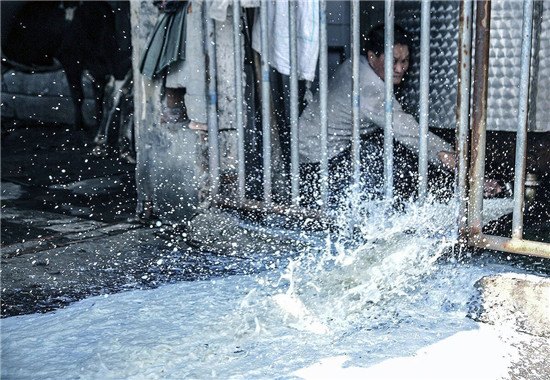 点击浏览下一页