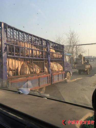 点击浏览下一页