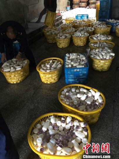 点击浏览下一页