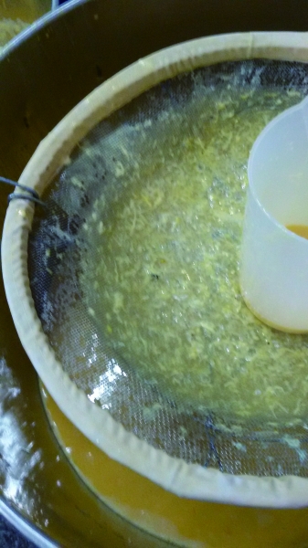 点击浏览下一页