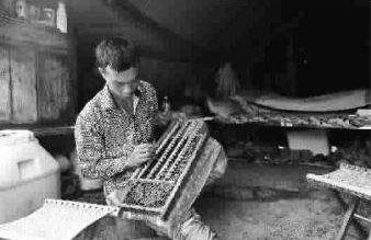 点击浏览下一页