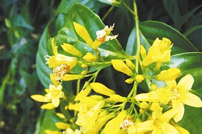 点击浏览下一页