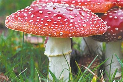 点击浏览下一页