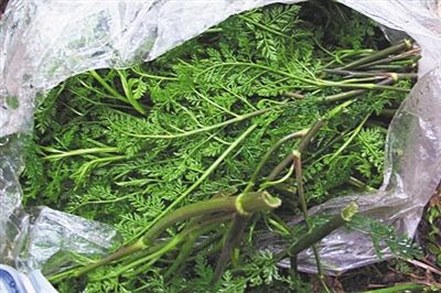 点击浏览下一页