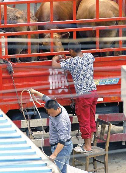 点击浏览下一页