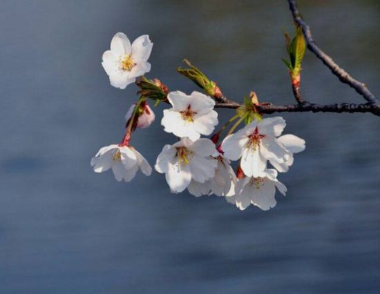 点击浏览下一页