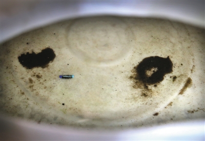 点击浏览下一页