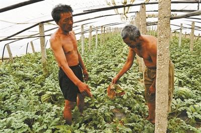 点击浏览下一页