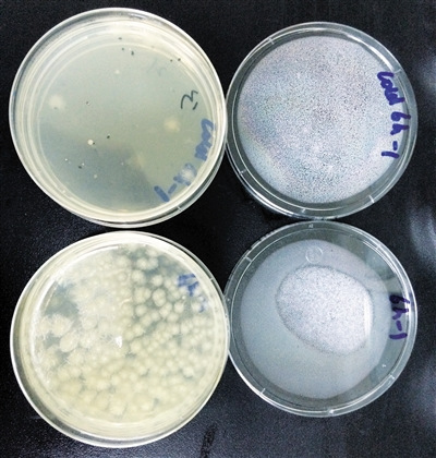 点击浏览下一页