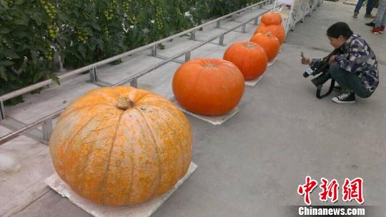 点击浏览下一页