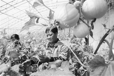 点击浏览下一页