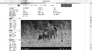 点击浏览下一页