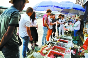 点击浏览下一页