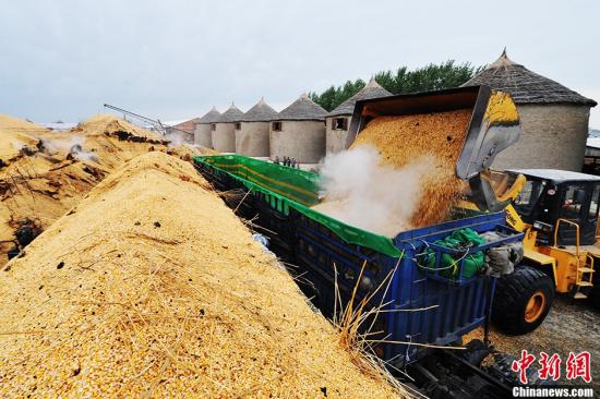 点击浏览下一页