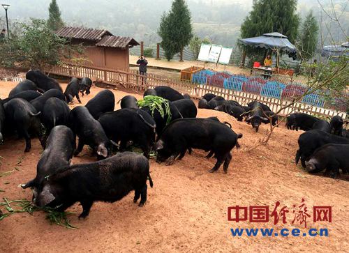 点击浏览下一页