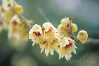 点击浏览下一页