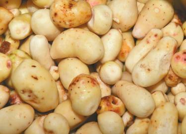 点击浏览下一页