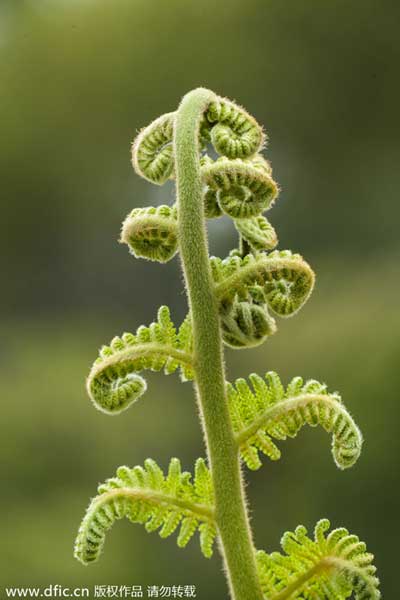 点击浏览下一页