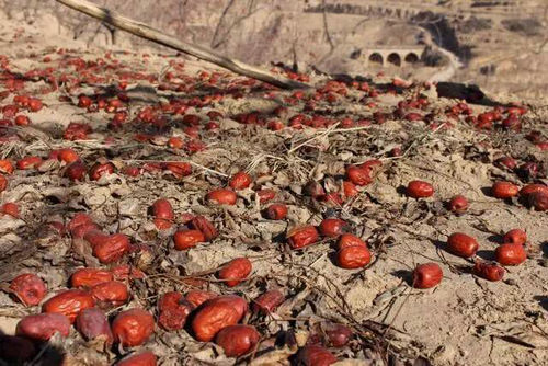 点击浏览下一页