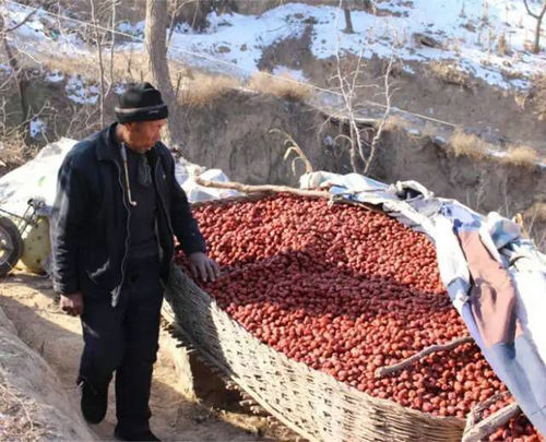 点击浏览下一页