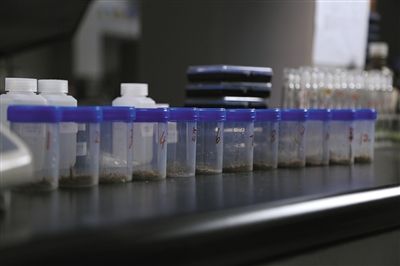 点击浏览下一页