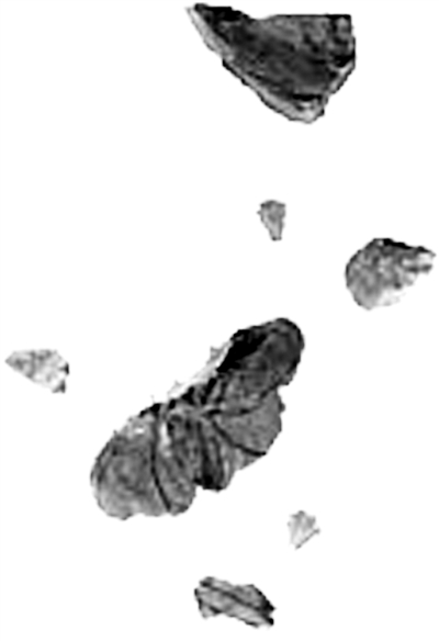 点击浏览下一页