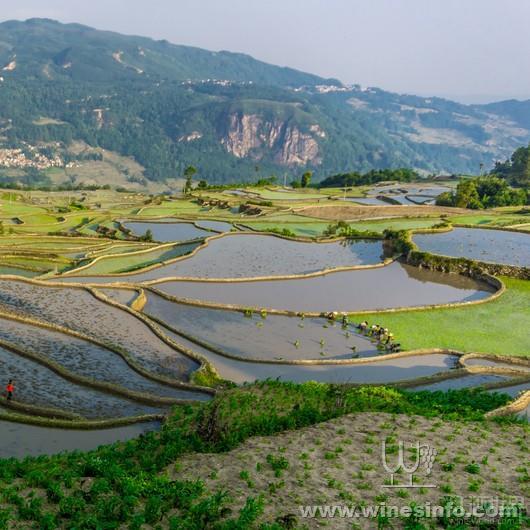 点击浏览下一页
