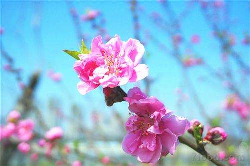 点击浏览下一页