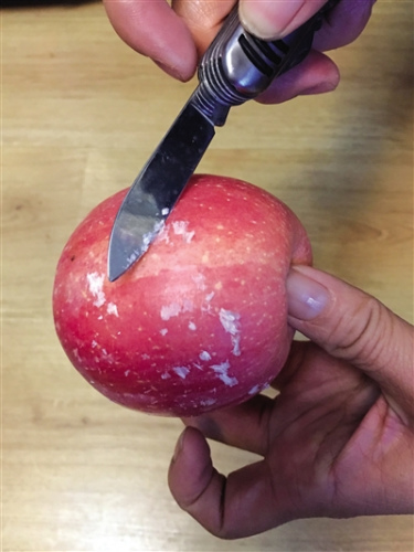 点击浏览下一页