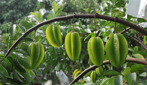 点击浏览下一页