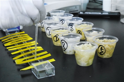 点击浏览下一页