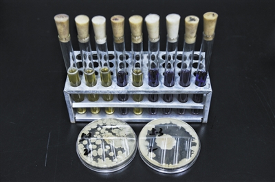 点击浏览下一页