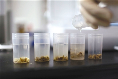 点击浏览下一页